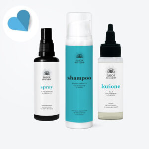 Elisor festa del papa 26 energy